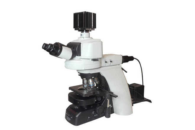Mikroskop Nikon, Kamera LUCIA image