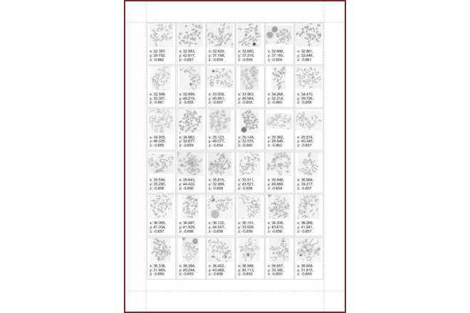 Karyotyping Summary Report image