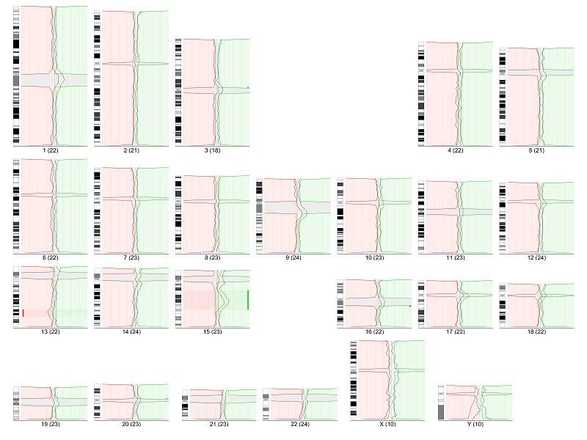 cgh5 image