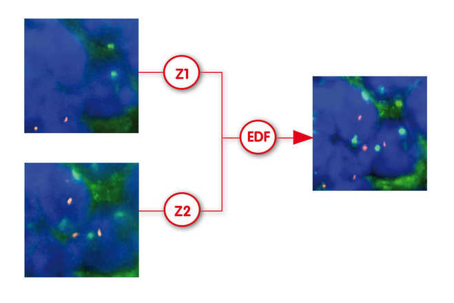 Princip snímání silného vzorku (EDF) image
