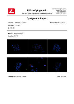 Report Tool image
