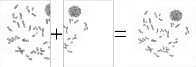 Image stitching image