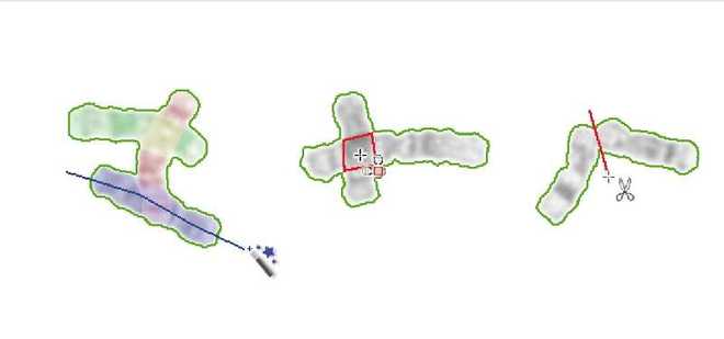 Semi-automated tools for chromosome separation image