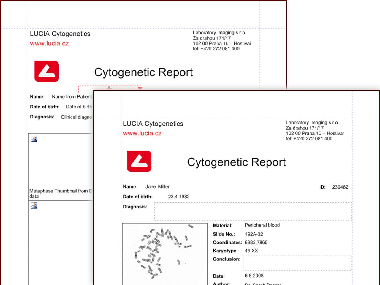 lucia reports image