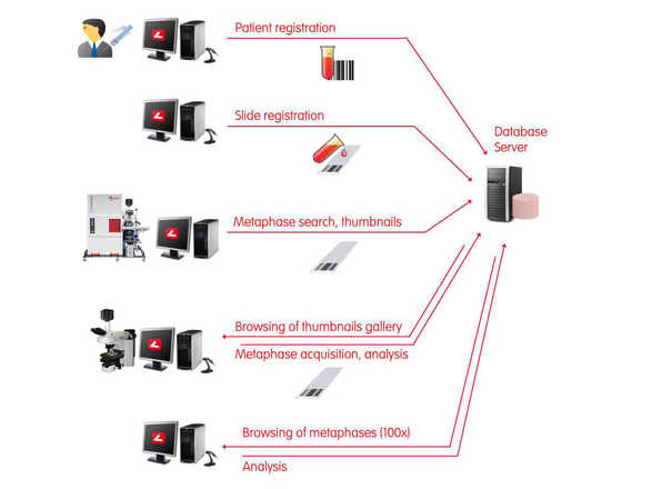 Metaphase Finder workflow step-by-step image