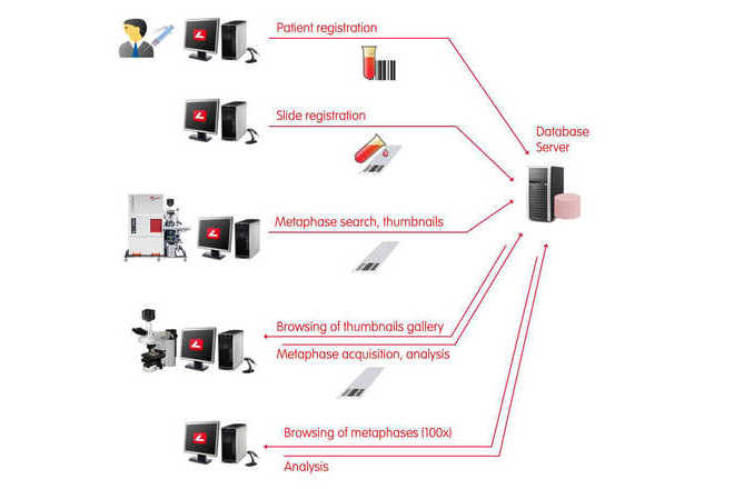 Metaphase Finder workflow step-by-step image