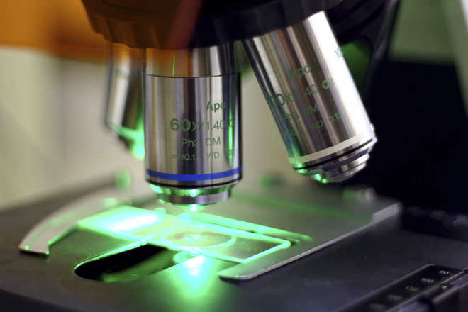 microscope lens fluorescence image