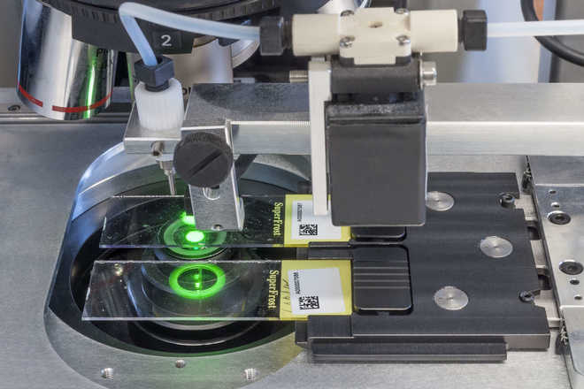 Immersion oil dispenser attached to the microscope image