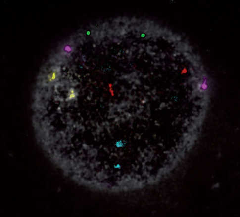 pgd 4 image