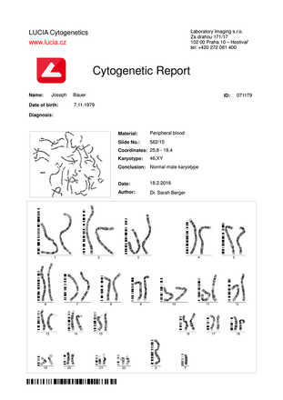Report Tool image