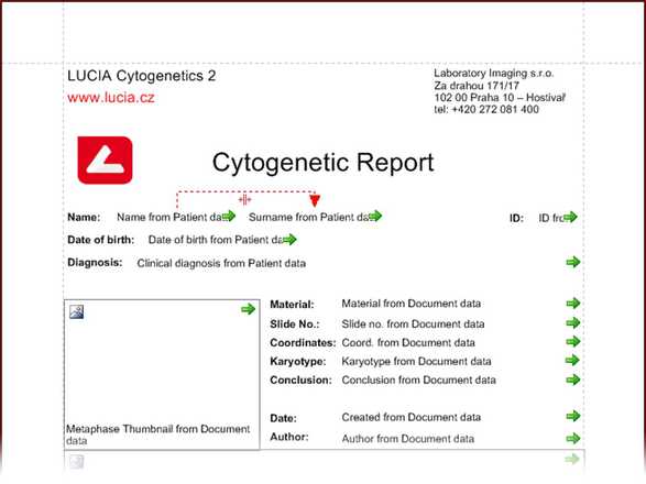 Report Template image