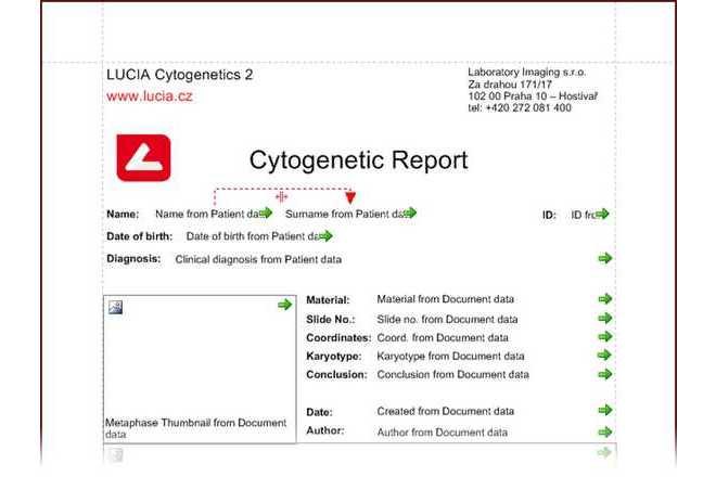 Report Template image